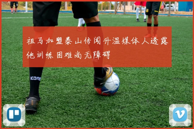 祖马加盟泰山传闻升温媒体人透露他训练困难尚无障碍