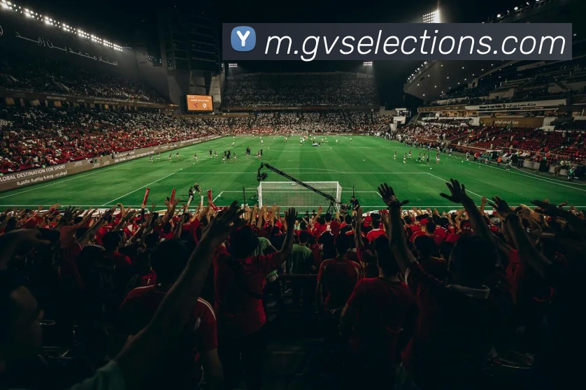 彩神v首页登录APP 封面图