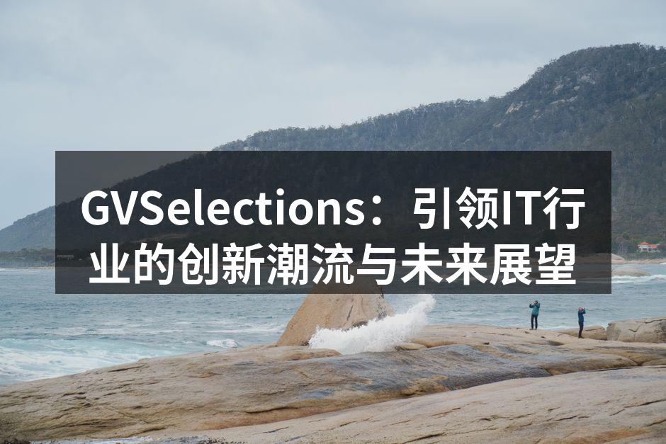 GVSelections：引领IT行业的