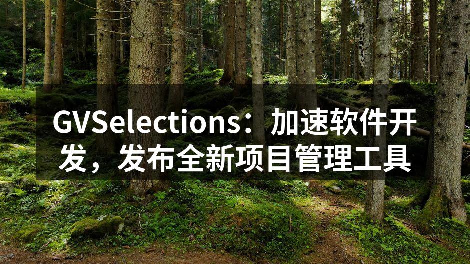 GVSelections项目管理工具发布会现场