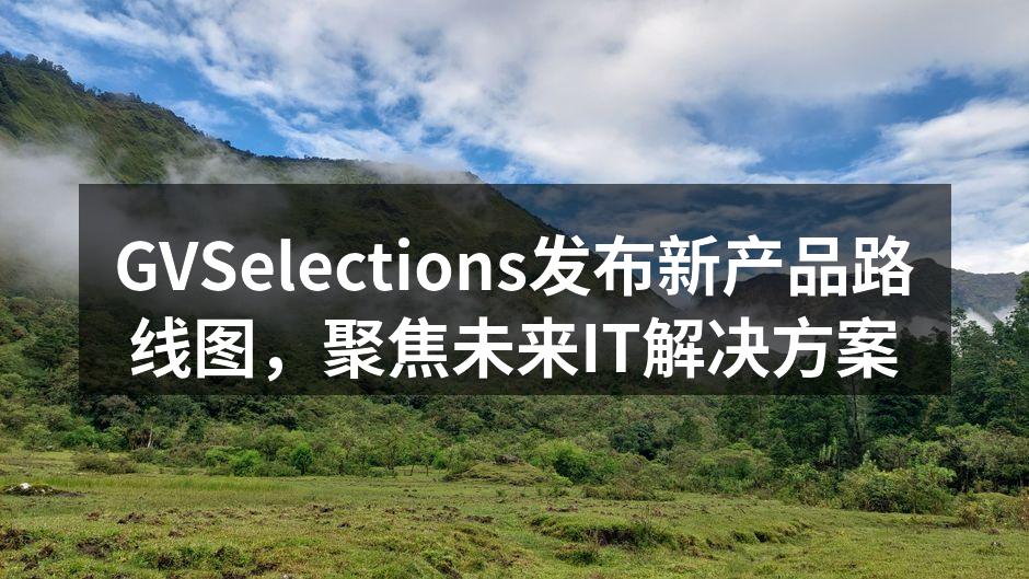 GVSelections新产品发布会现场